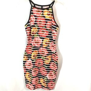 Goodtimes USA Poly Spandex Dress SM